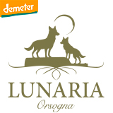 Olearia Orsogna - Lunaria