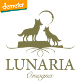 Olearia Orsogna - Lunaria Olearia Orsogna - Lunaria