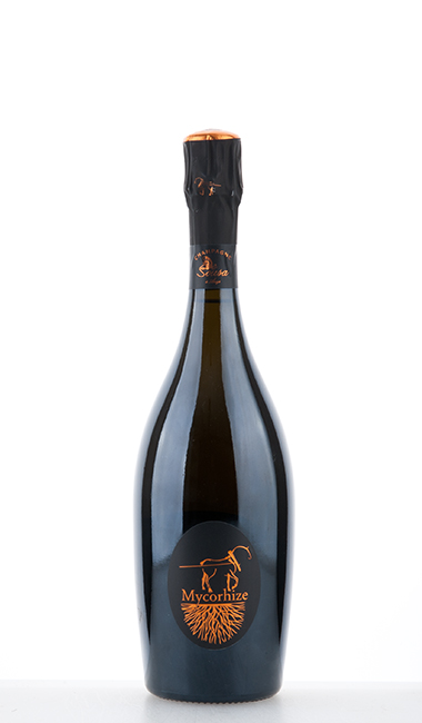 De-Sousa-et-Fils-Champagne-Cuve-e-Mycorhize-Grand-Cru-Extra-Brut-Champagner-Demeter De Sousa et Fils Champagne Cuvée Mycorhize Grand Cru Extra Brut Champagner - Demeter