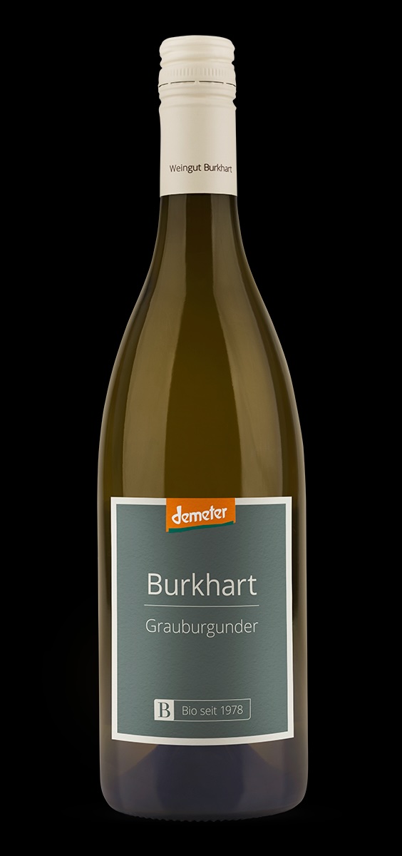 Grauburgunder Demeter Burkhart 2023 - Biowein Grauburgunder Demeter Burkhart 2023 - Biowein