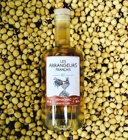 Armagnac-mit-Haselnussen-und-Honig-Bio Armagnac mit Haselnüssen und Honig Bio